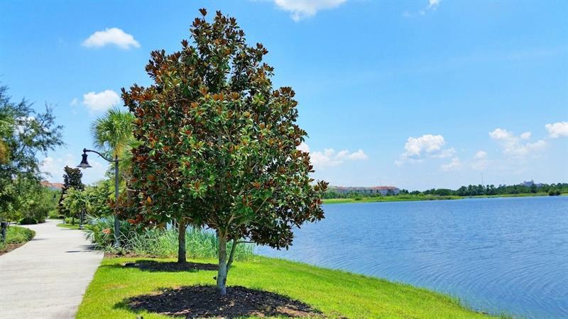 Вілла Vista Cay 1 Орландо Екстер'єр фото